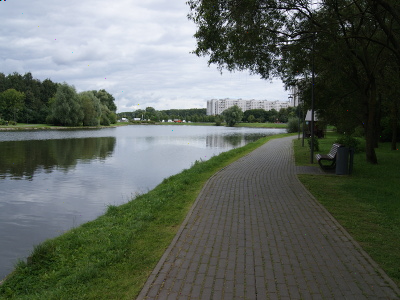 Image of a park with a secret message